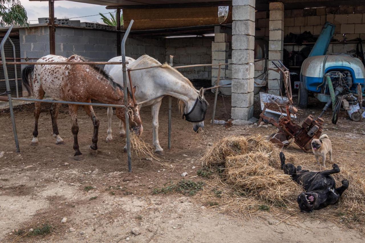 Masseria Cinti Bagnolo del Salento Dış mekan fotoğraf